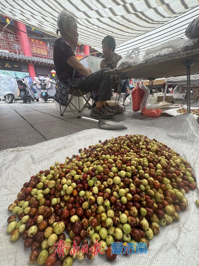 野生酸枣上市“身价高”，新鲜果一斤售价8元