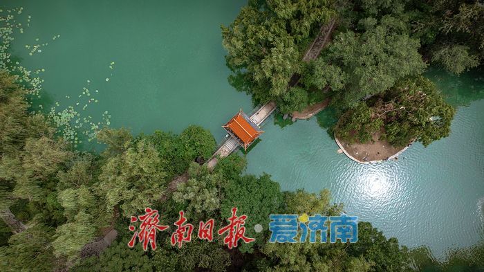 一年四季 泉在济南丨济南小清河，绿意盎然色彩绘就城市生态新画卷