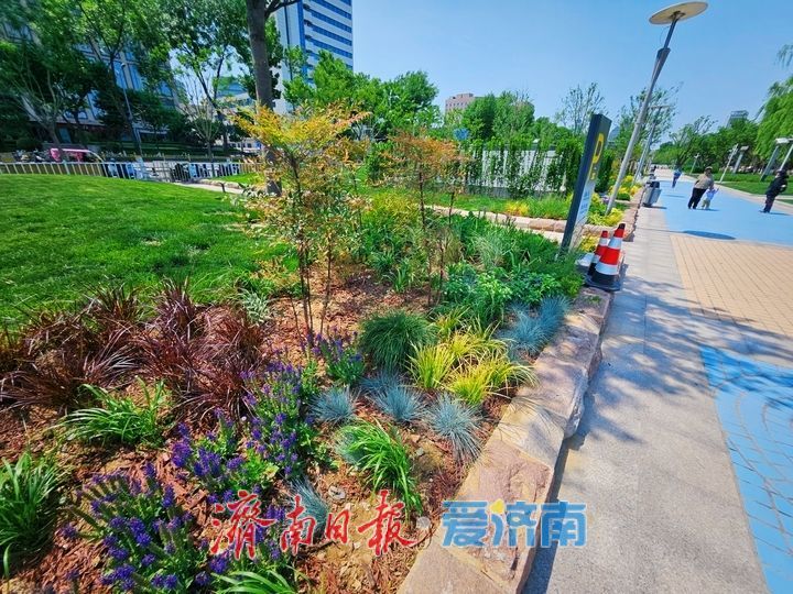 方寸园林藏诗意 泉城广场添雅韵 微型园林景观惊艳亮相城市会客厅