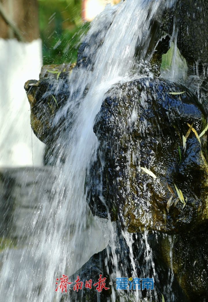 一年四季 泉在济南丨生态“双保险”守护泉水喷涌，“月牙飞瀑”盛况在线持续超百日