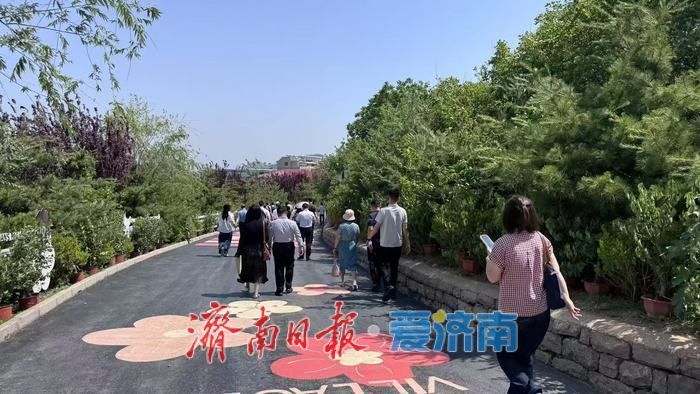 镜头定格乡风文明 光影见证振兴蝶变 “文明乡村入镜来”主题摄影活动在芦南村启幕