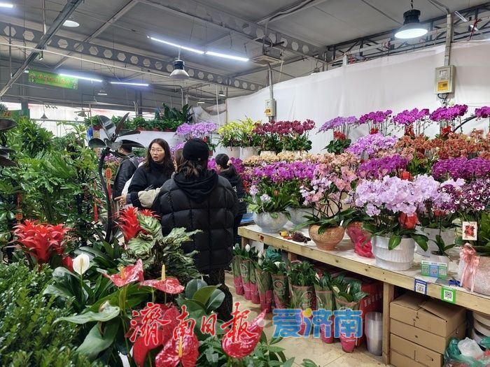 年宵花迎来销售旺季