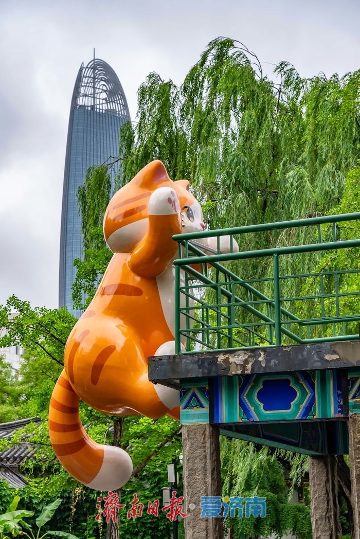 古园新景，萌猫亮相
