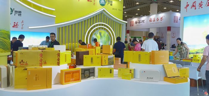 700家品牌茶企齐聚泉城 2024济南国际茶博会开幕