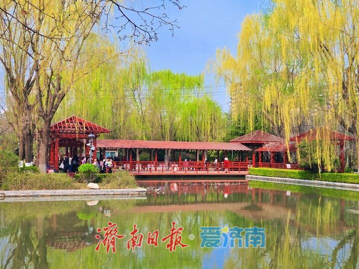 一年四季 泉在济南｜济南苗圃公园绽放春日生态美景
