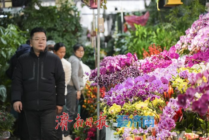 春节临近 年宵花市场迎来销售旺季