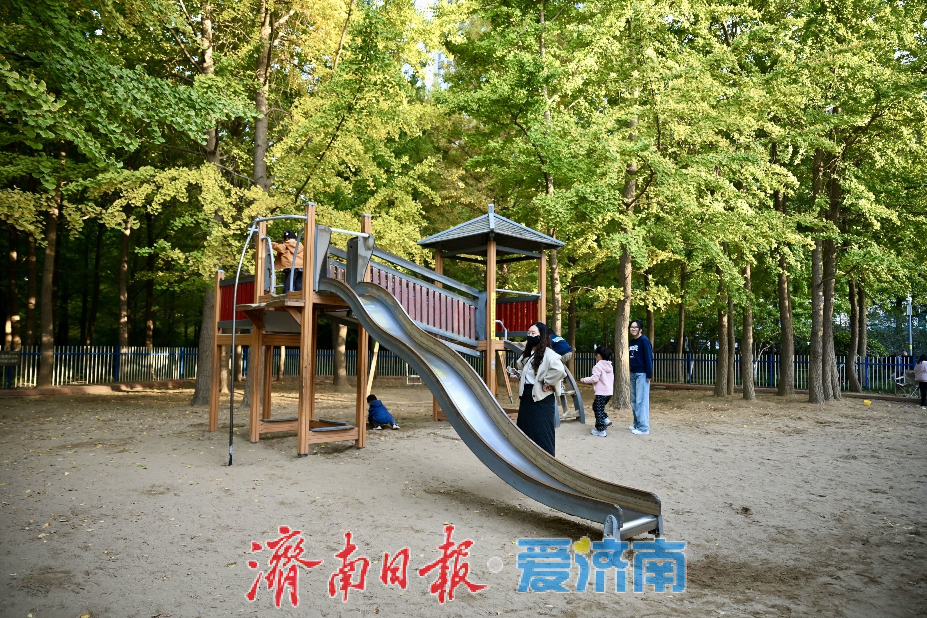 秋日遛娃好去处 济南森林公园儿童乐园人气高涨