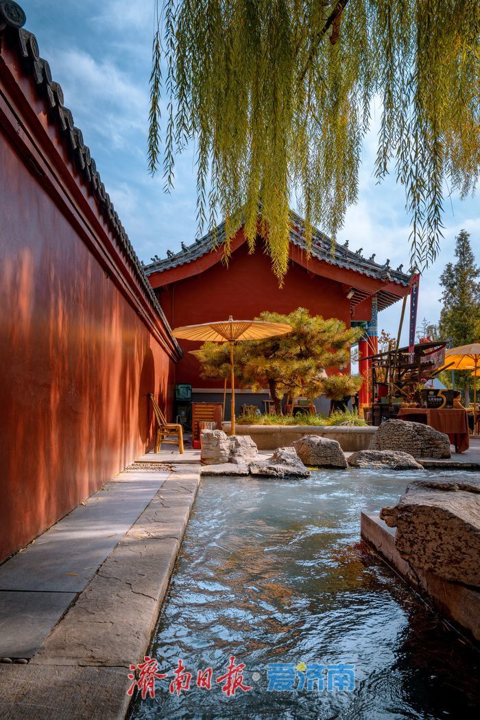 济南泉景再添彩！墨泉、梅花泉、漱玉泉争相喷涌，市民赏泉络绎不绝