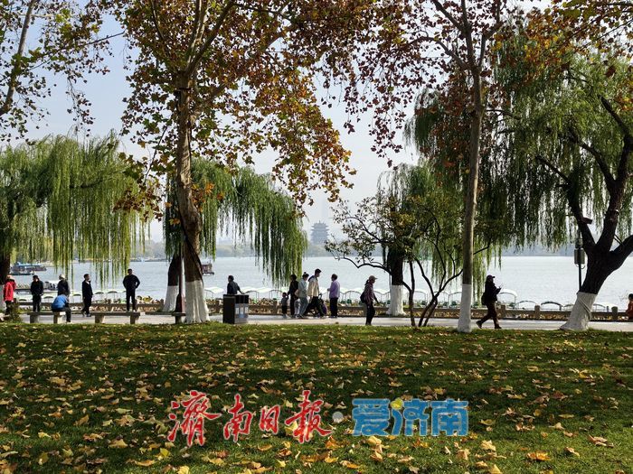 一年四季 泉在济南丨赴一场冬日湖畔之约，且看诗意的泉城济南