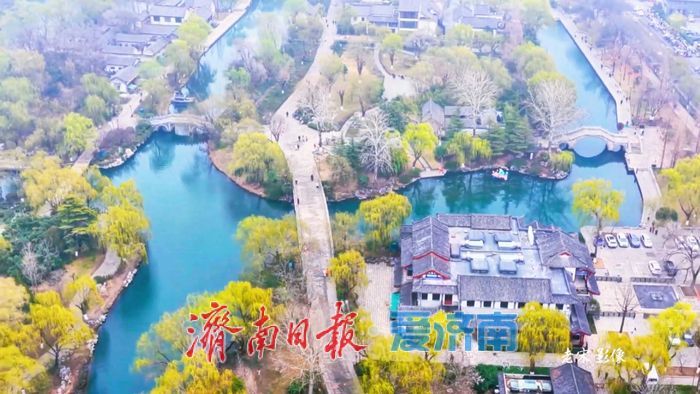 一年四季 泉在济南丨大明湖碧波荡漾 垂柳抽芽吐绿