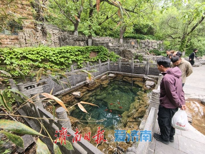 假期迎赏名泉热潮！缎华泉山水引客流连