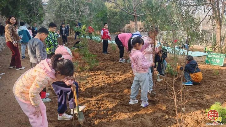 城市因园林更美好 生活因园林更幸福——2025年济南市园林和林业绿化局高质量成果展（生态建设篇）