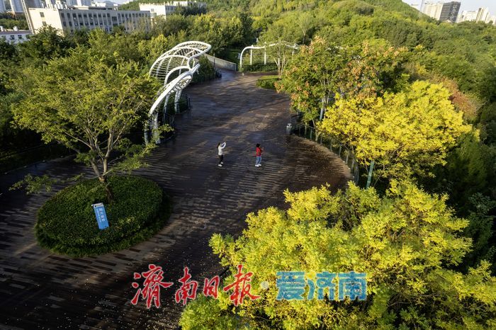 秋色斑斓，活力盎然