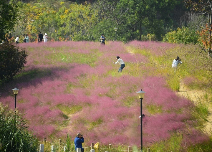 济南这条河，火了！