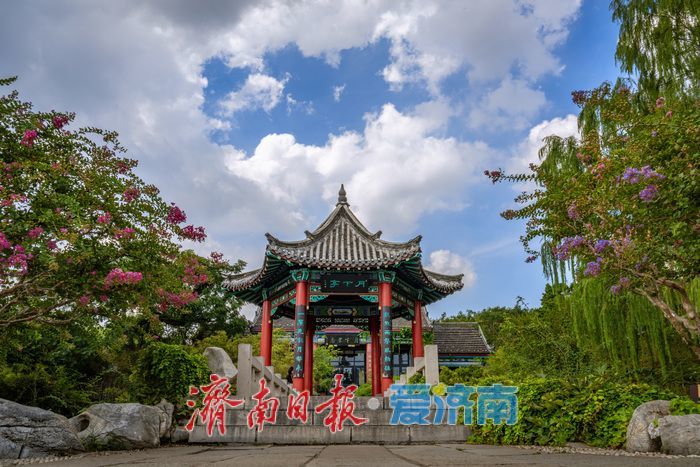 一年四季 泉在济南丨泉城消夏图鉴：大明湖成市民游客纳凉赏景“心头好”