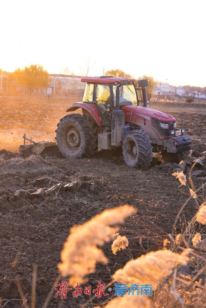 济南吴家堡街道明里村：冬闲人不闲 农田备耕忙