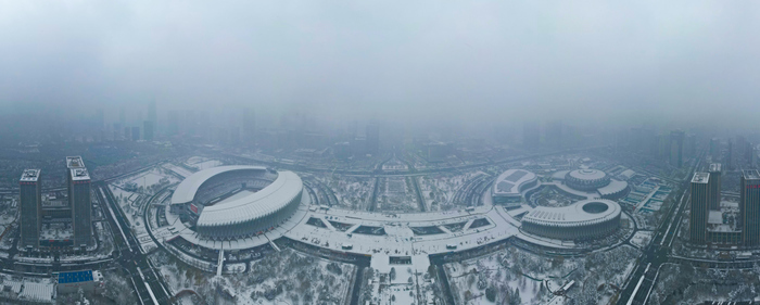 雪染 “东荷西柳” 济南奥体中心现水墨盛景
