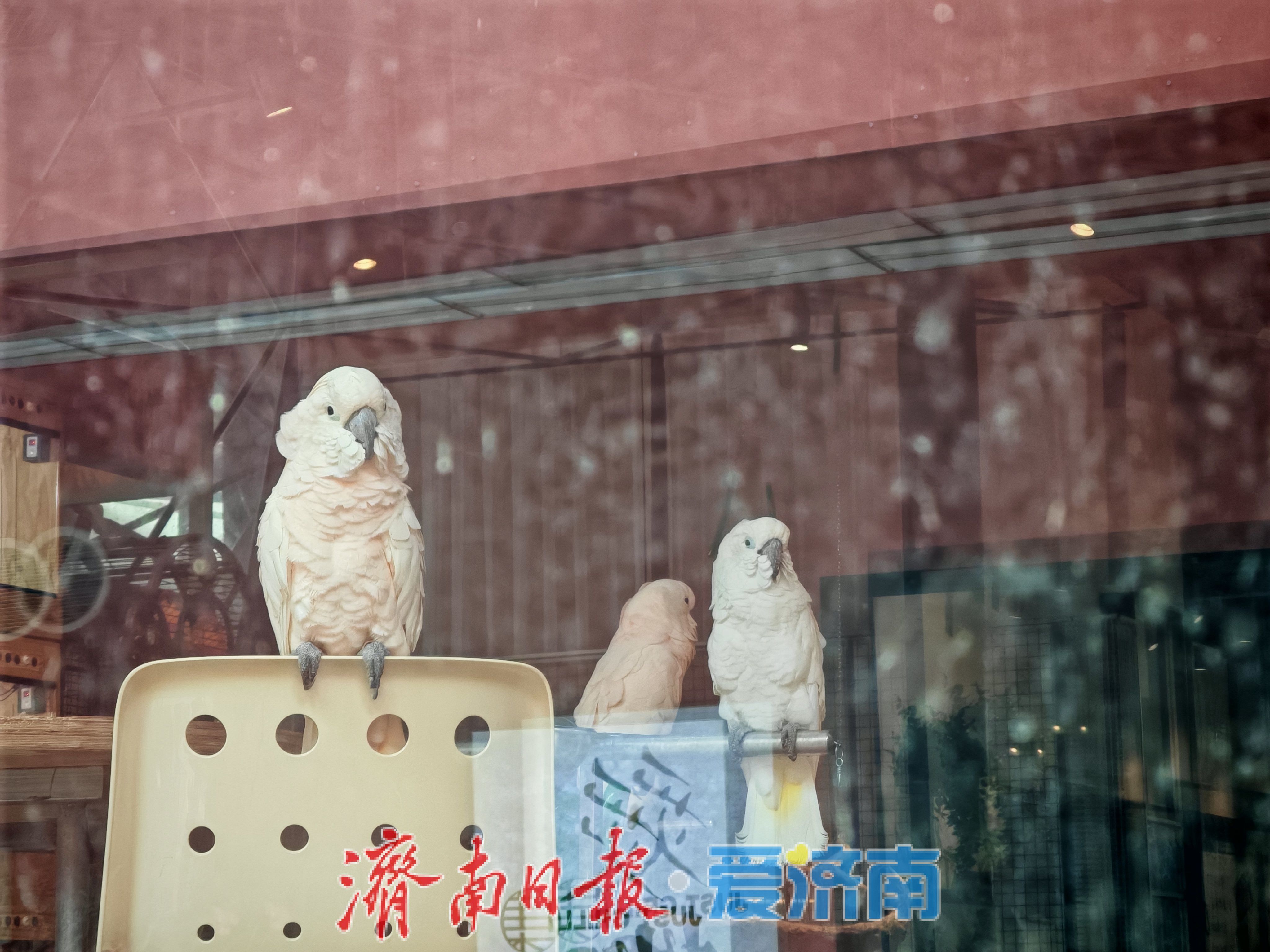 记者实地探访泉城公园CAC艺术社区的“流量”密码