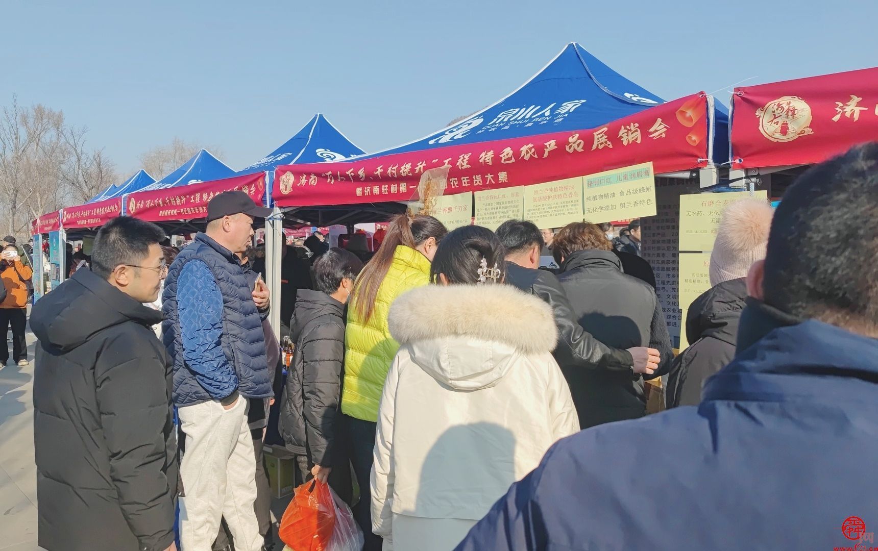 “泉”在济南过大年