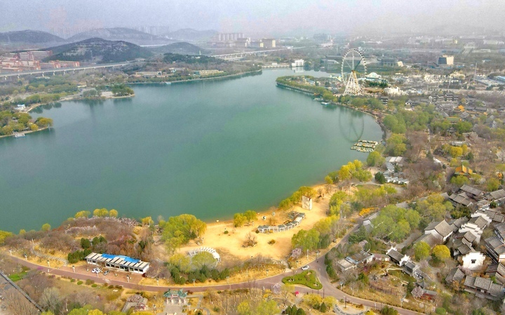 满目青翠 一园春色