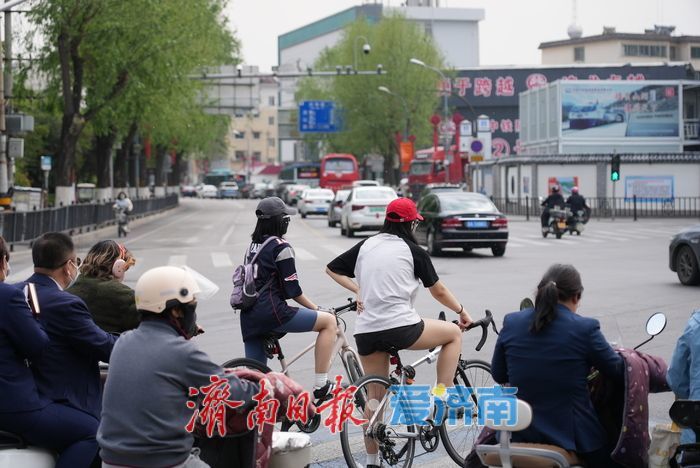 飞絮 “撒欢” 来袭，市民 “口罩” 接招