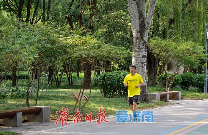 免费享绿意！济南森林公园化身市民消夏运动乐土