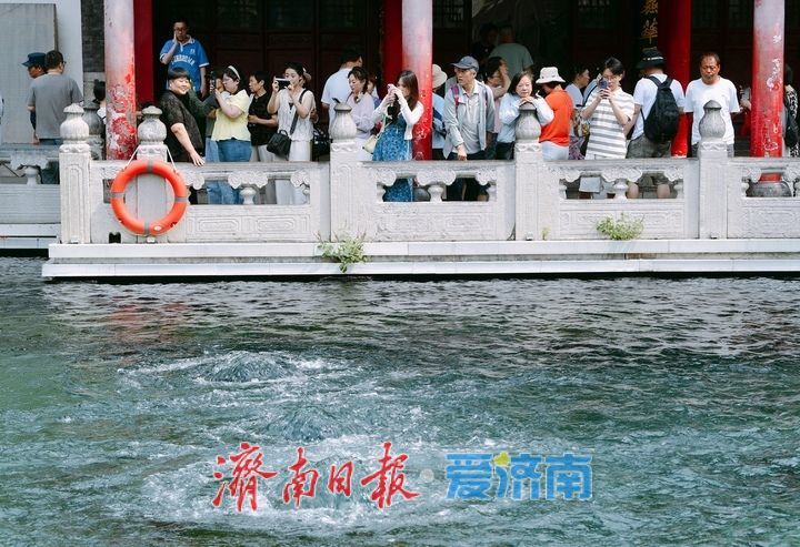 “毕业季”牵手端午假期，济南暑期“泉水游”提前迎来高峰期