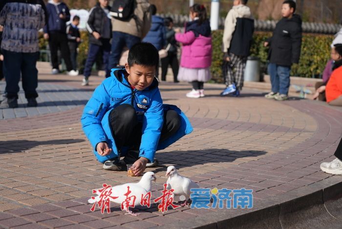 春风和煦，市民欢“鸽”笑语度周末