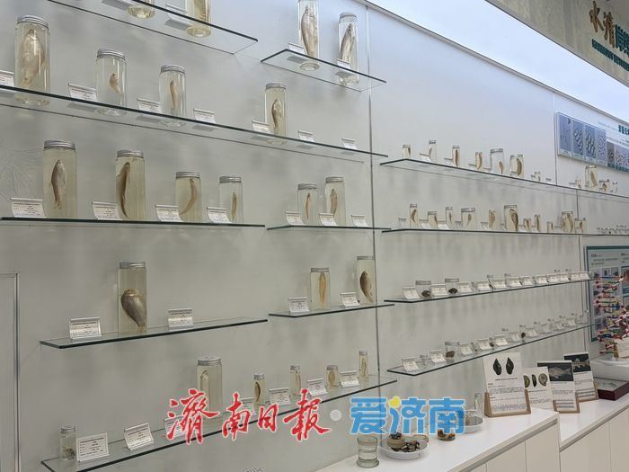 珍稀鱼类是否“到访”，舀一杯河水就能知道