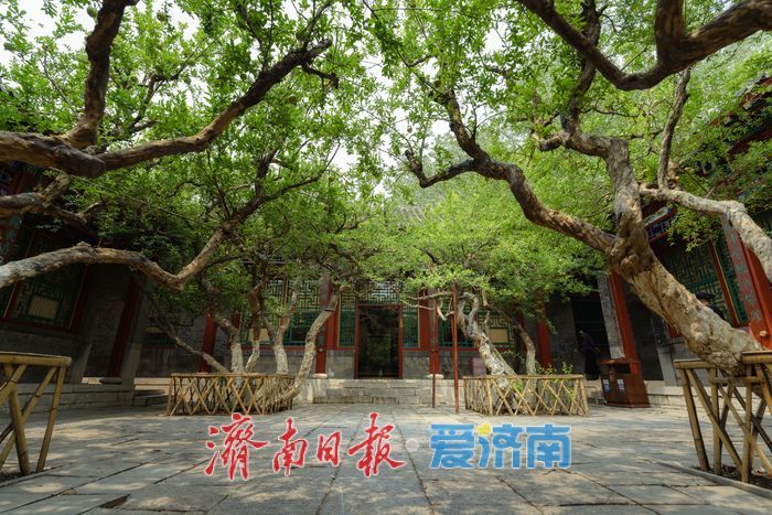 一年四季 泉在济南丨酷暑时节，来济南万竹园解锁夏日清凉