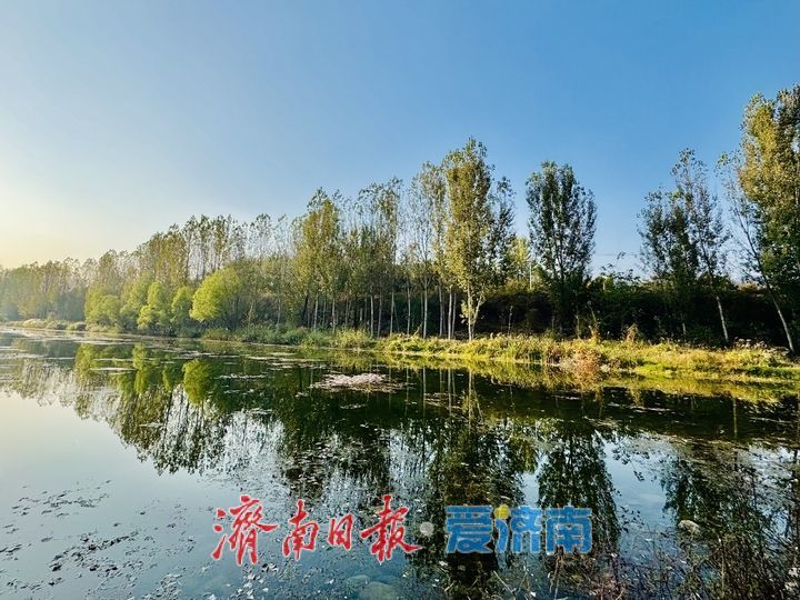 一年四季 泉在济南丨通天河畔秋意浓 山水如画醉人心
