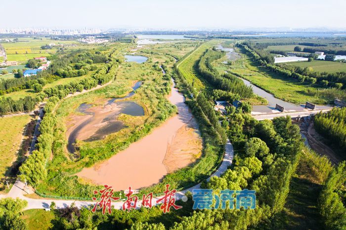 沉砂池化身“滨水湿地” 滩涂纹理如大地版画