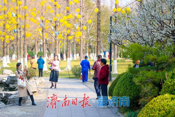 五龙潭公园春意盎然，市民游客共赏春光