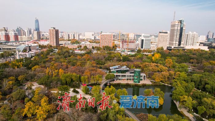 济南泉城公园冬景如画 层林尽染引客打卡
