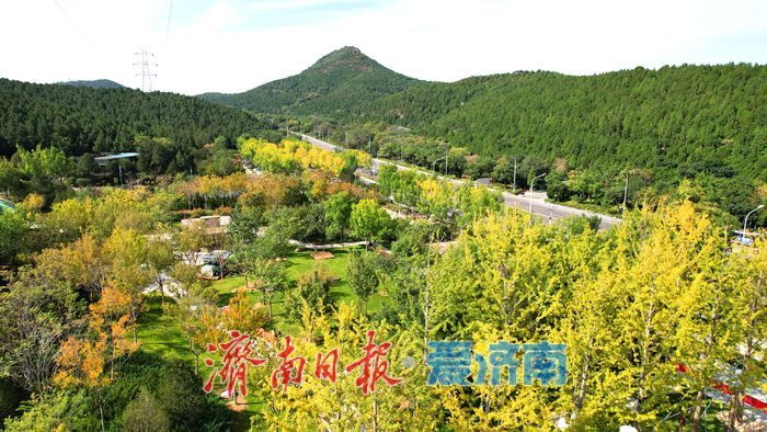 金秋染林间 佛慧山景区秋色引客来
