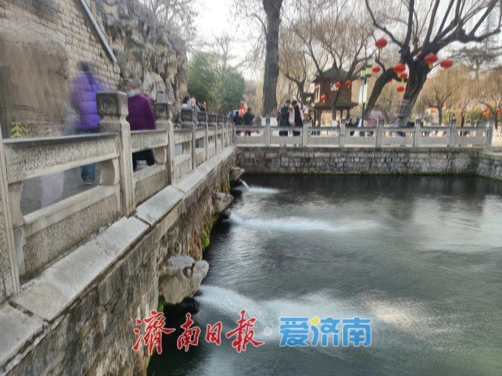 群泉欢腾！雨雪助力趵突泉、黑虎泉地下水位回升