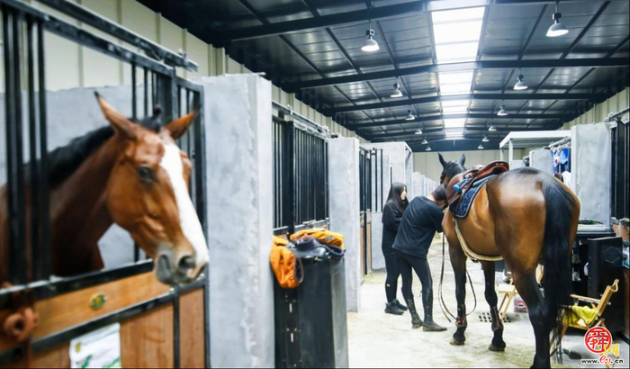 济南,缘何成为马术运动界的一匹“黑马”？