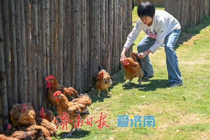 热度拉满！齐鲁童乡成济南亲子出游新晋热门打卡地