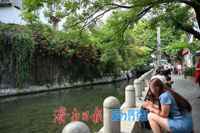 一年四季 泉在济南丨泉水绕巷烟火浓 于家桥解锁老济南地道消夏模式