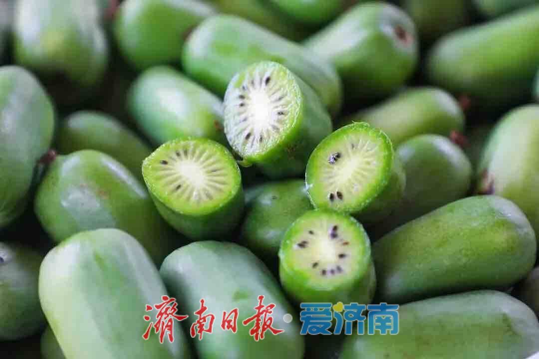 国庆觅趣指南：邂逅泉韵山色，乐享都市烟火