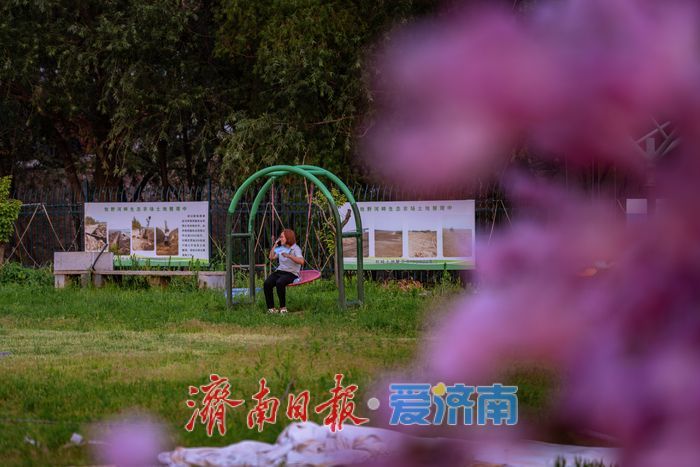 一年四季 泉在济南丨黄河岸边，帐篷支起夏日清凉