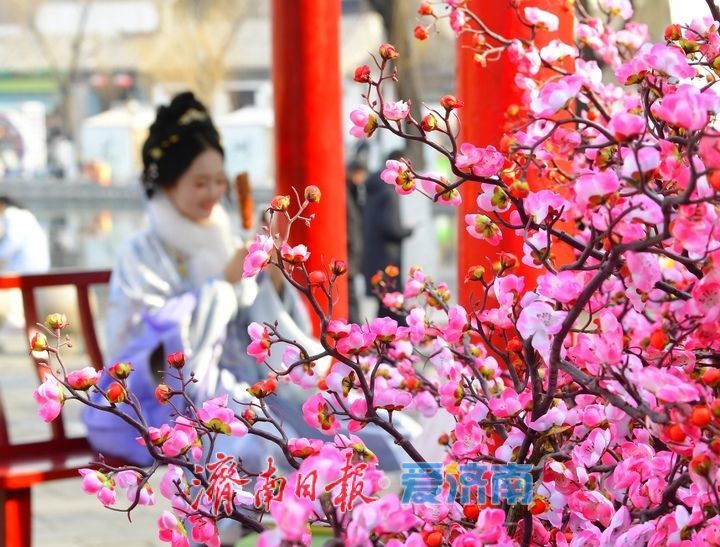 “簪花”点翠映泉城，立春时节“俏”争春