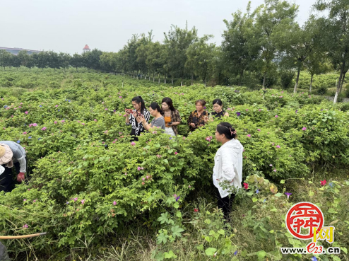 济南市高素质农民培育学用贯通综合试点项目农产品电商专题实习实践+平阴跟踪服务同步推进