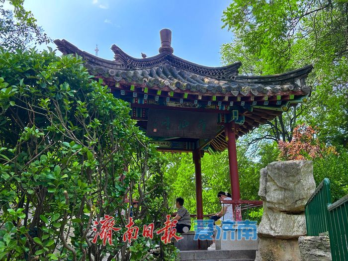 趵眼｜济南文旅+康养双向发力，解锁全龄治愈慢生活