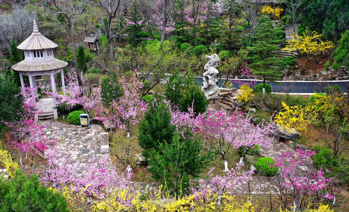 踏青植树，红叶谷3月门票半价优惠