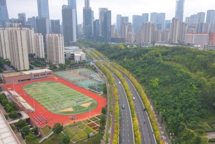 扮靓济南CBD，秋日来临最美“叶”色上线