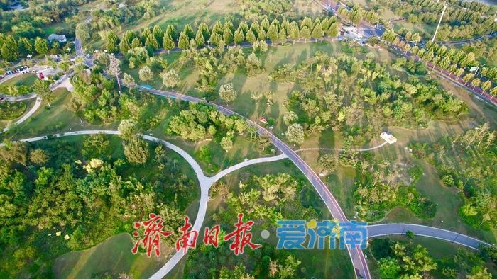 秋染华山湖 绘就泉城生态宜居画卷