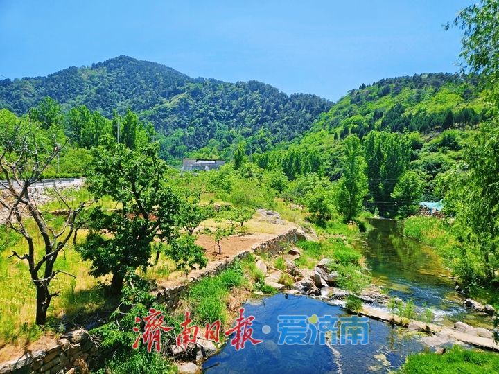 草木葱茏满目新 邂逅山野好风光