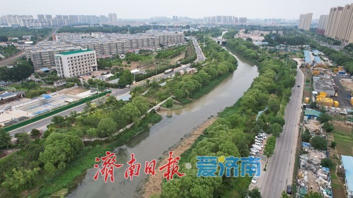 一年四季 泉在济南丨水清碧波映夏韵！小清河夏日风光旖旎景色如画