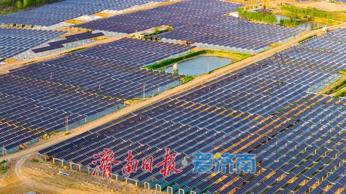 济南首个“渔光互补”光伏项目并网 一地多用催生绿色振兴新动能